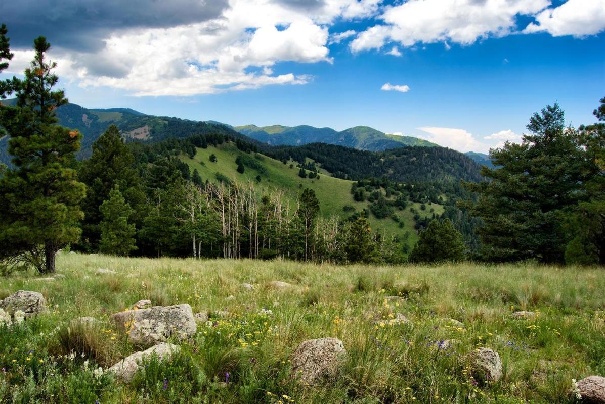 Sugar Butter Chalet Villa Ruidoso Kültér fotó